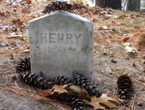 By the time Kristi Martin took this photo on the following Tuesday, many more pine cones had found their way to HENRY.