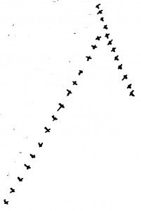 Henry David Thoreau’s drawing of geese, November 23, 1853