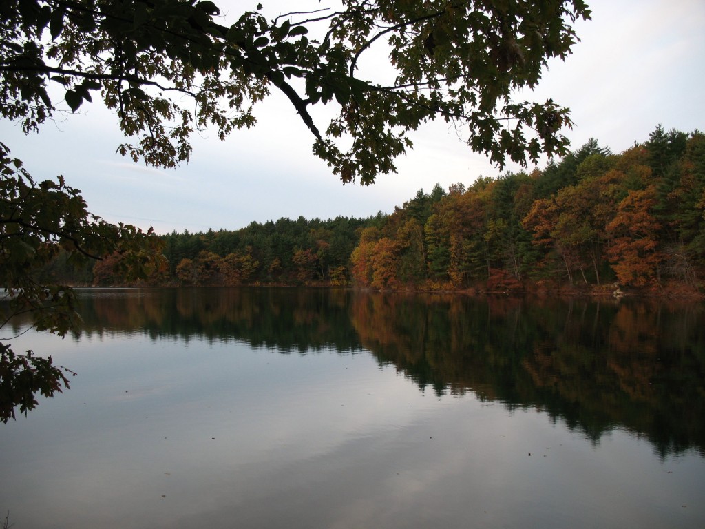 Walden's Reflective Waters, (albeit in a different season)