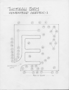 Garden Plan 1