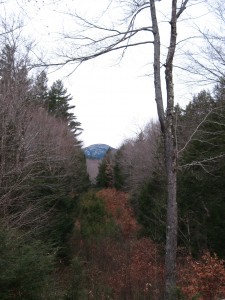 Tree-framed Cardigan Mountain - heartland