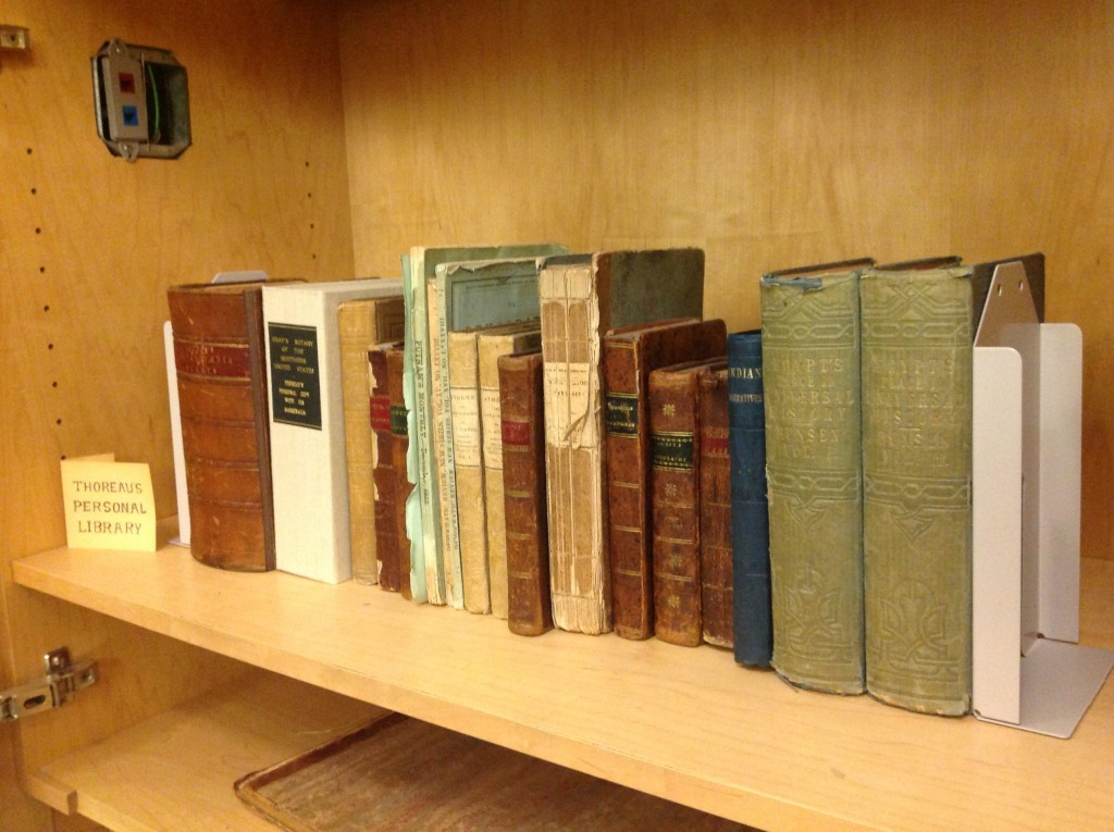 Some of the books that contributed to Thoreau's journals. Henry's Walden Pond library.