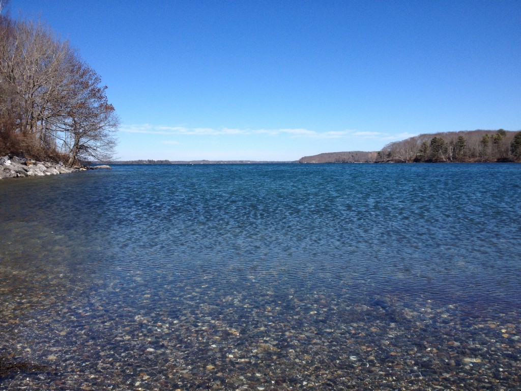 North-facing cove, wind-shivered, clear water