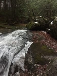 Snyder Brook going to winter.